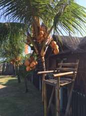 Dumaguete Springs Resort