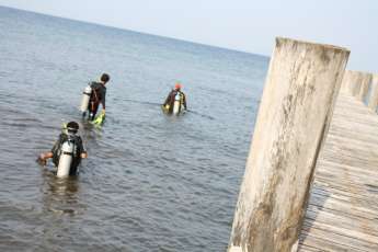 Dive with Dumaguete Springs