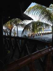 View of the Beach