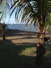 beach view 3